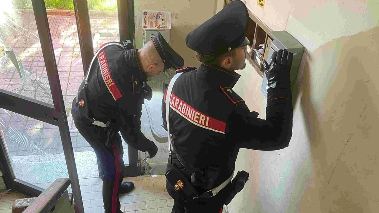 I carabinieri hanno effettuato le indagini I carabinieri hanno effettuato le indagini