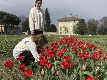 immagine articolo