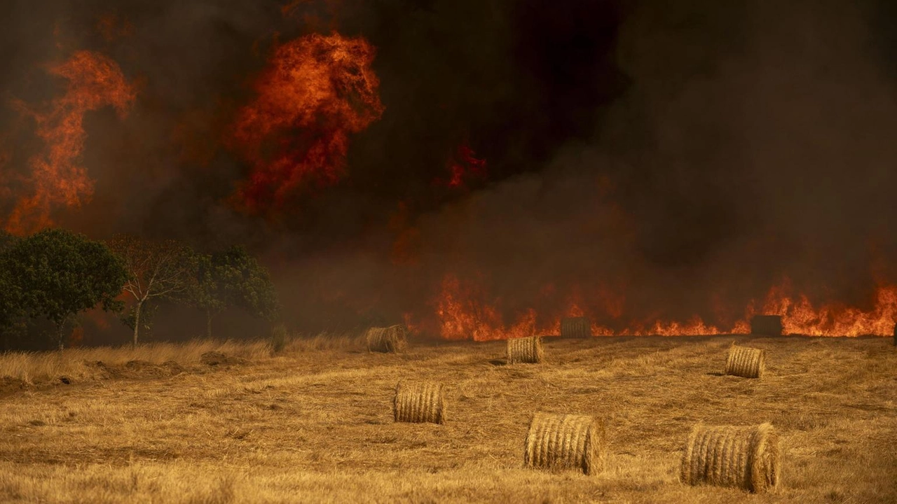 Cinque persone fermate dalle forze di sicurezza nelle ultime ore