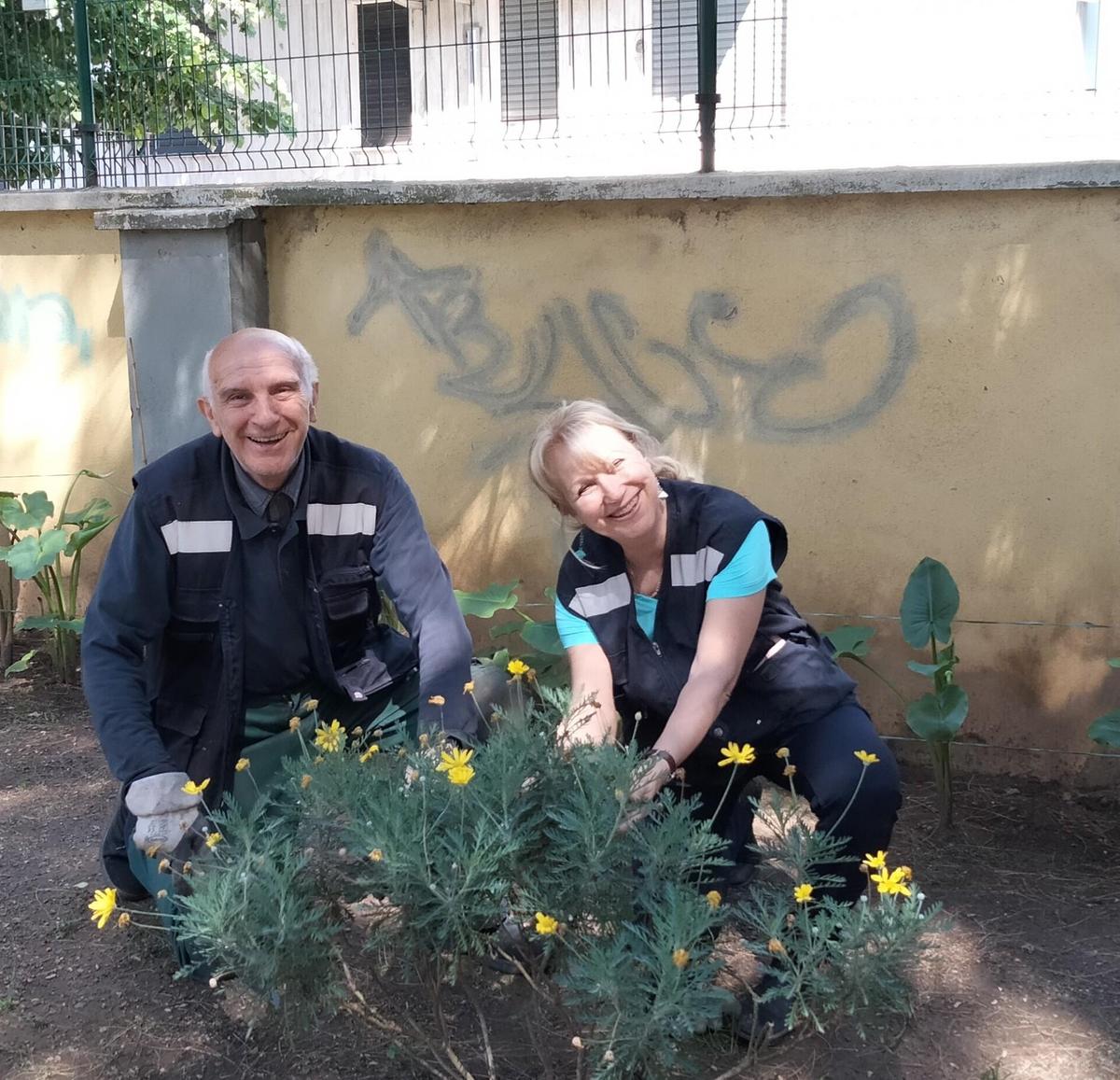 fiori e via i graffiti piazza immacolata ora 232 pi249 verde
