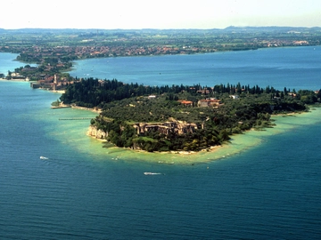 immagine articolo