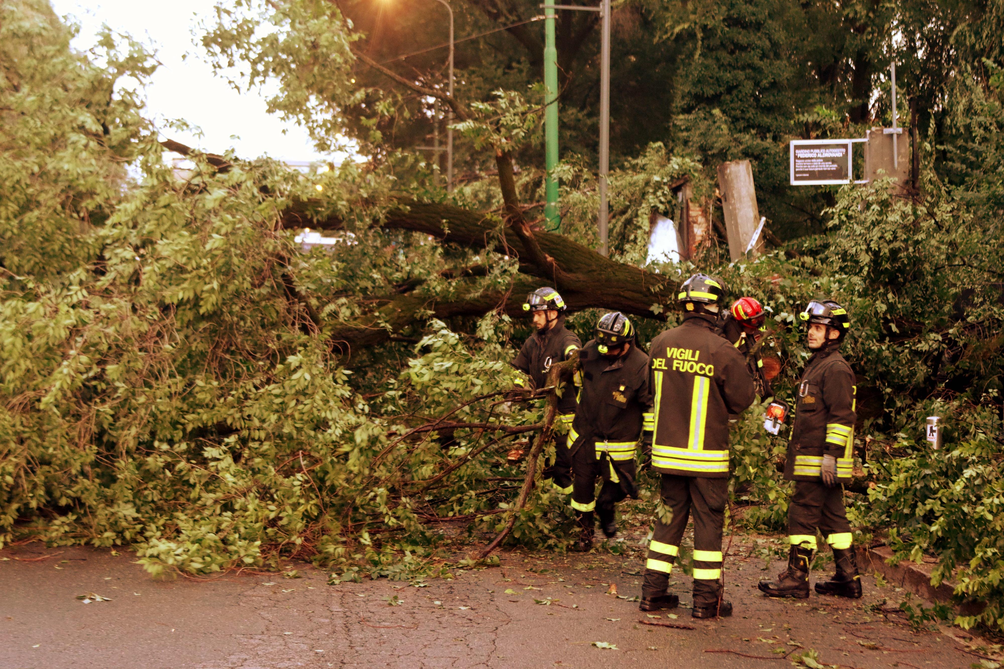 Forti temporali a Varese, caos sulla Laveno Milano. Allagamenti e alberi in strada (e non è ancora finita) Forti temporali a Varese, caos sulla Laveno Milano. Allagamenti e alberi in strada (e non è ancora finita)