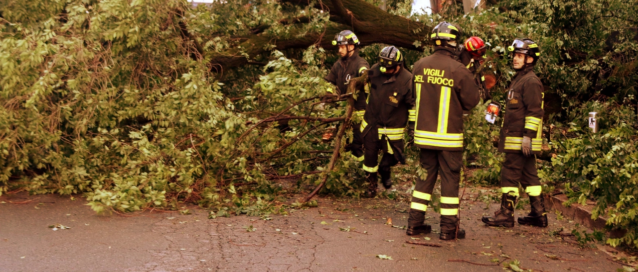 Forti temporali a Varese, caos sulla Laveno-Milano. Allagamenti e alberi in strada (e non è ancora finita)