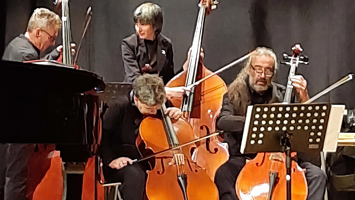 Il gruppo dei violoncellisti durante un’esibizione Il gruppo dei violoncellisti durante un’esibizione
