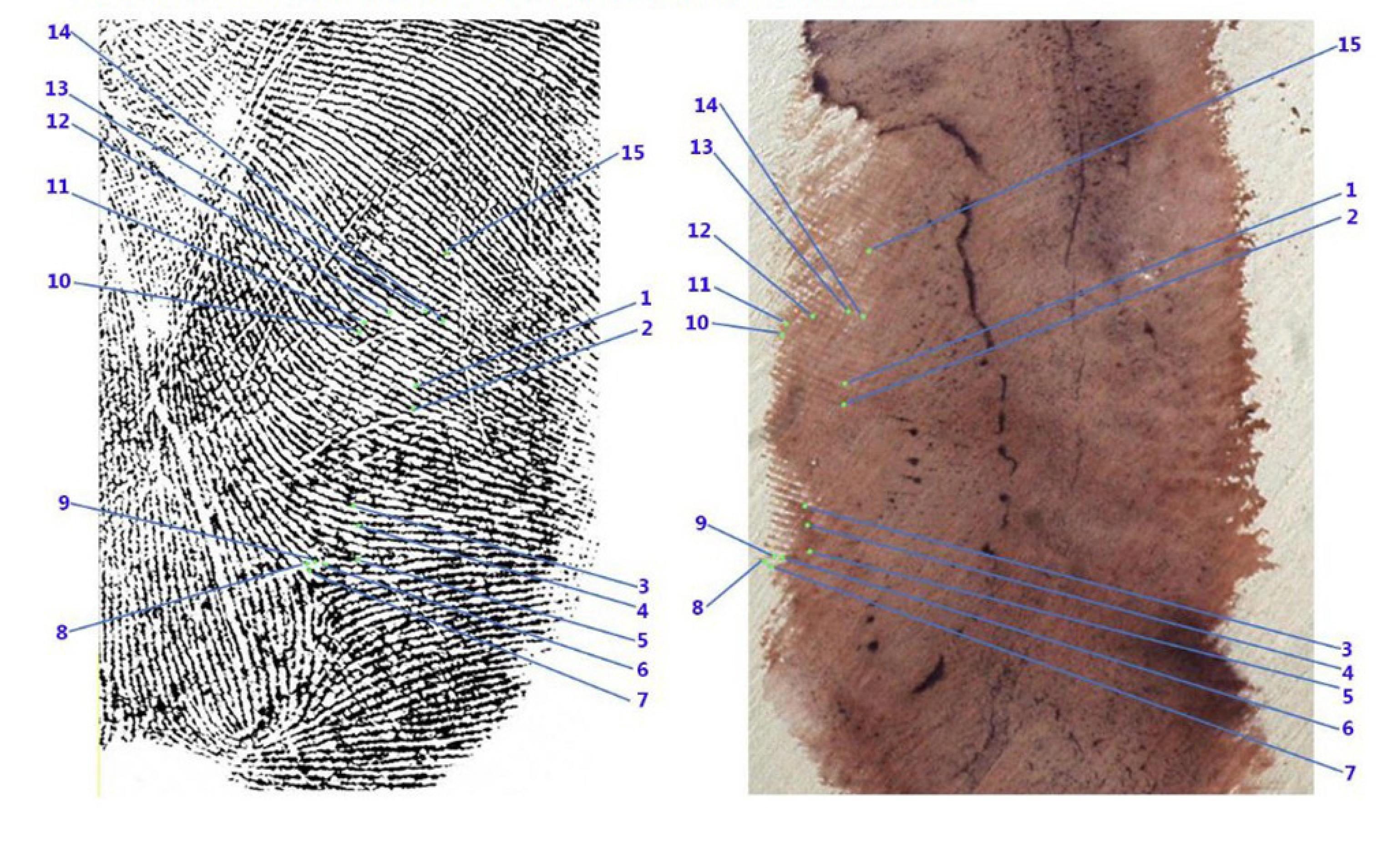 Delitto di Garlasco, il criminologo e l’impronta 33 attribuita a Sempio: “La svolta grazie all’intelligenza artificiale” Delitto di Garlasco, il criminologo e l’impronta 33 attribuita a Sempio: “La svolta grazie all’intelligenza artificiale”