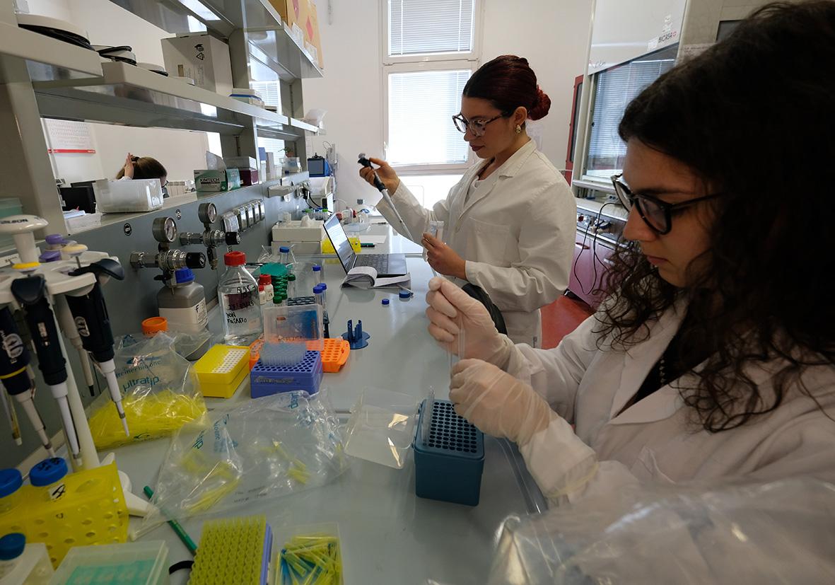 Leucemie e linfomi, terapie rivoluzionarie: le cellule con il “radar” Leucemie e linfomi, terapie rivoluzionarie: le cellule con il “radar”