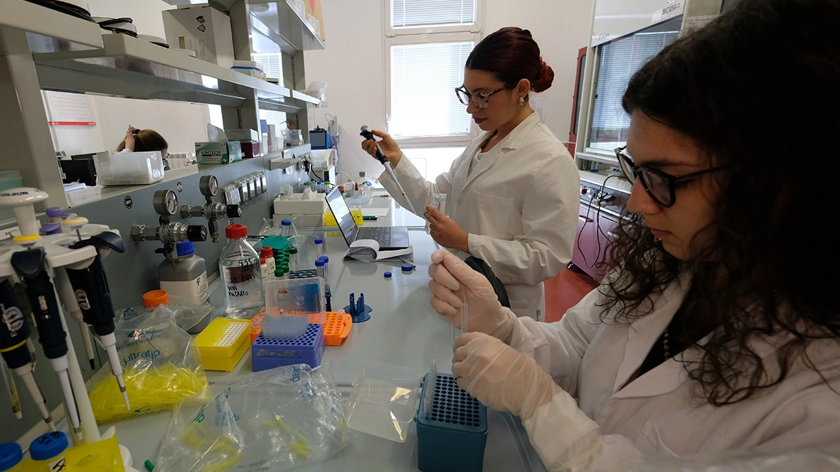 Continua senza sosta l’attività di ricerca scientifica contro i tumori infantili Continua senza sosta l’attività di ricerca scientifica contro i tumori infantili