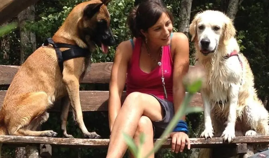 giornata mondiale del cane 2025 salute e benessere 6 falsi miti da sfatare e i consigli del veterinario