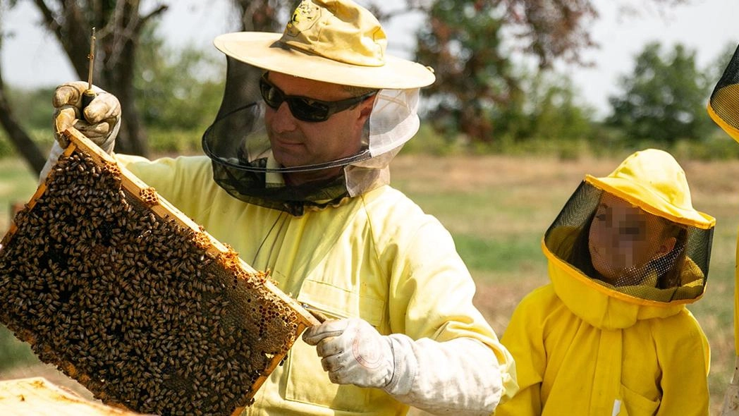Le api adottate a distanza. L’Enpa lancia la campagna per far rifiorire la natura