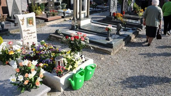 Estumulazioni aperte al pubblico a Merate. Uno spettacolo solo per stomaci e cuori forti. Nel giorni scorsi i nuovi...