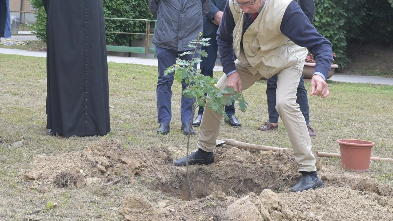 Una quercia armena sostituisce un cedro malato nel giardino della rsa Pertusati, simbolo di resistenza e memoria delle vittime cristiane. La cerimonia omaggia monsignor Pertusati e San Gerolamo Emiliani. Una quercia armena sostituisce un cedro malato nel giardino della rsa Pertusati, simbolo di resistenza e memoria delle vittime cristiane. La cerimonia omaggia monsignor Pertusati e San Gerolamo Emiliani.