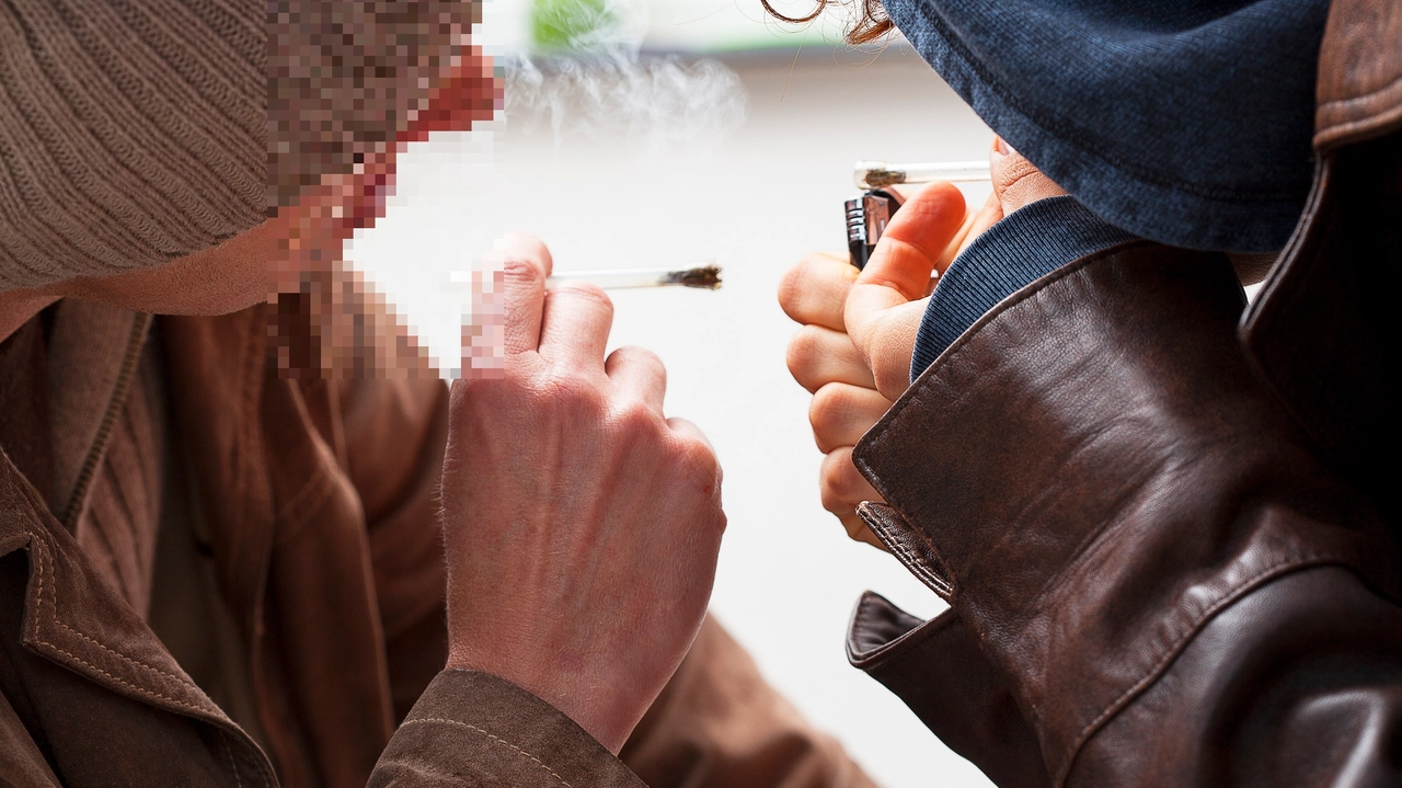 Il 30,2% dei lombardi tra i 15 e i 19 anni ha consumato cannabis In crescita anche l’assunzione di altre droghe Il 30,2% dei lombardi tra i 15 e i 19 anni ha consumato cannabis In crescita anche l’assunzione di altre droghe