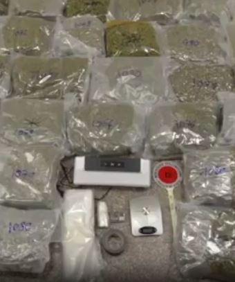 la regola d oro dei narcotrafficanti la coca devi darla non toccarla 