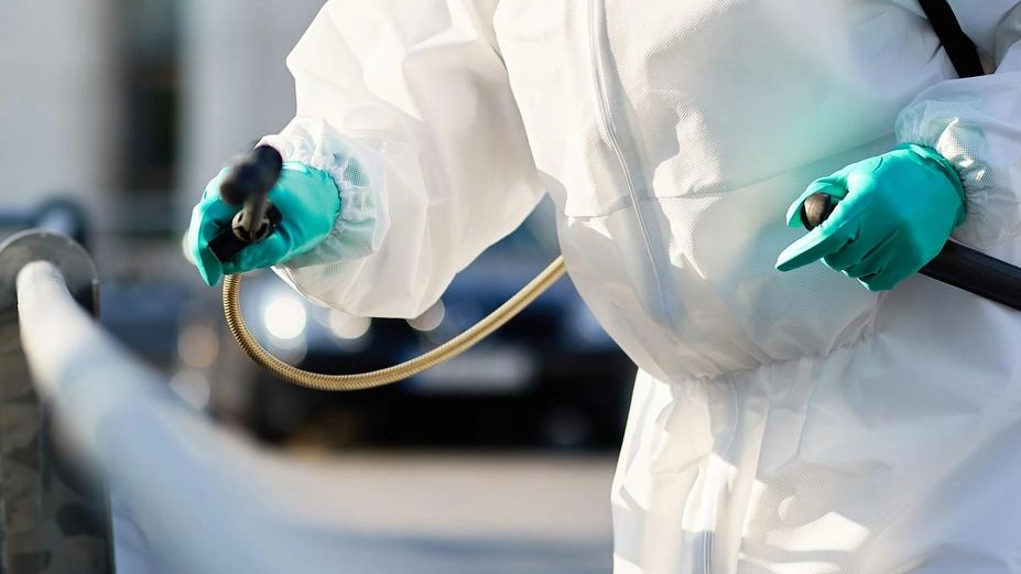 Alla materna interventi di sanificazione dopo il ritrovamento di escrementi di topi Alla materna interventi di sanificazione dopo il ritrovamento di escrementi di topi