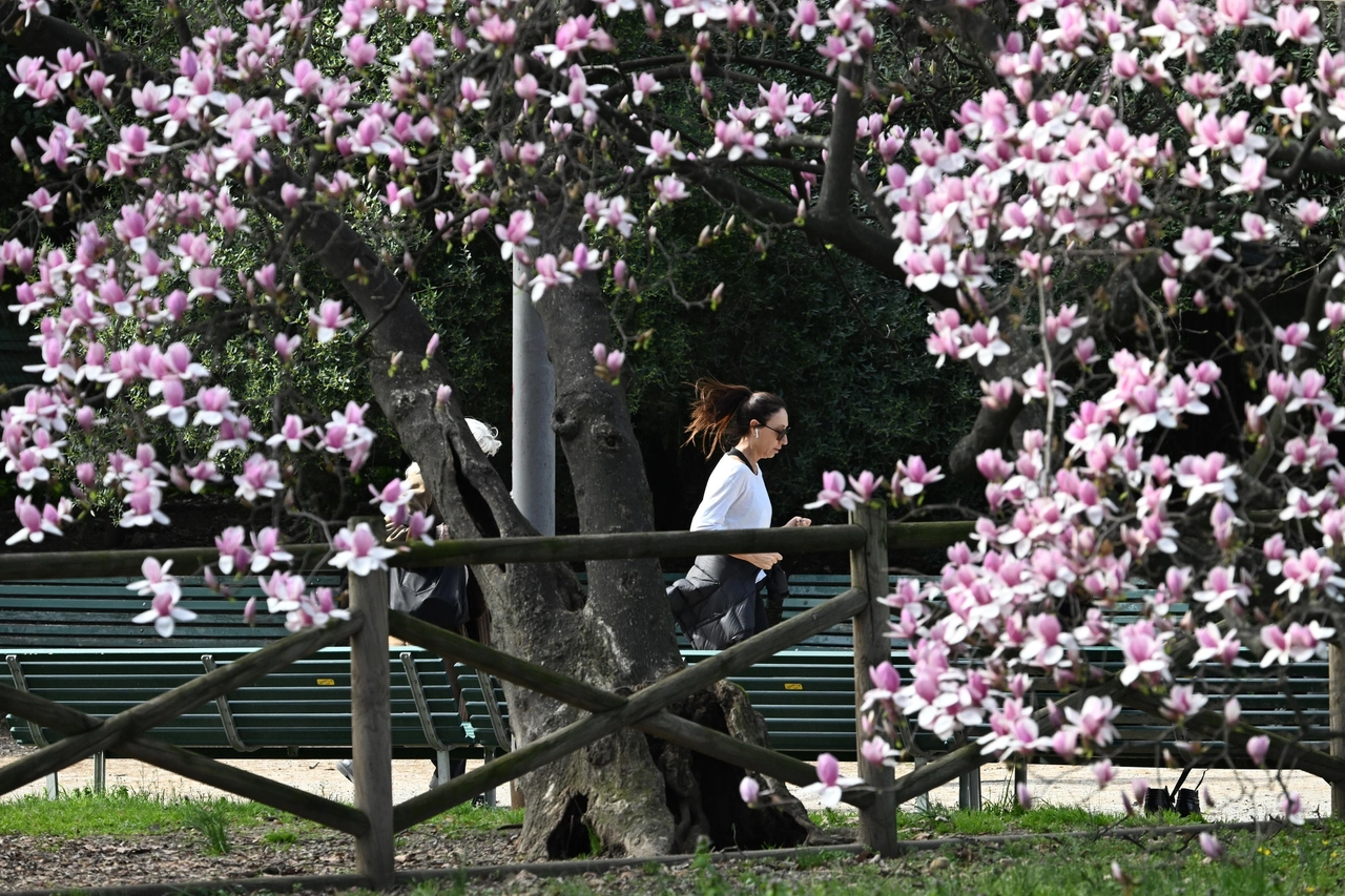 Arriva la primavera: temperature in aumento (Dal Zennaro)