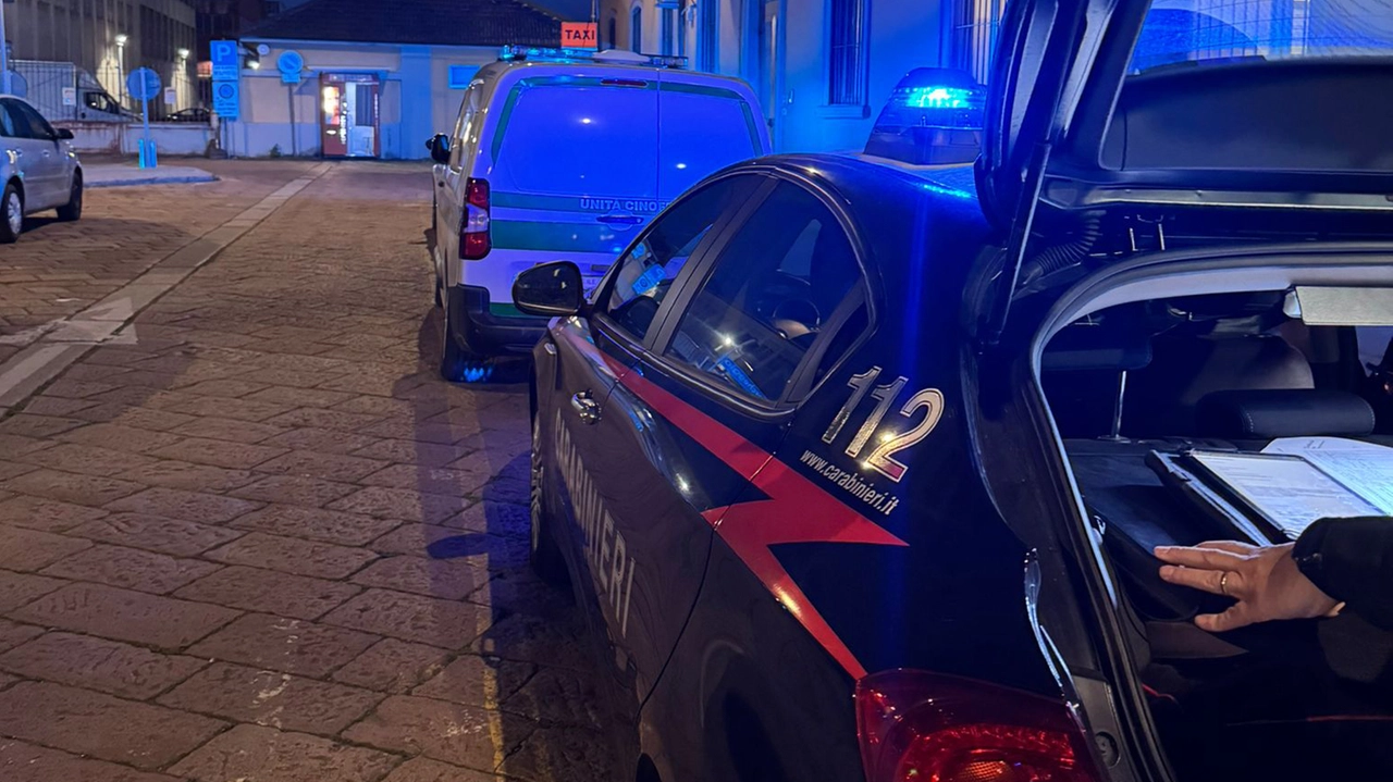 Sul posto sono intervenuti i carabinieri