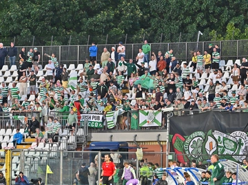 immagine articolo