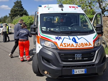 immagine articolo