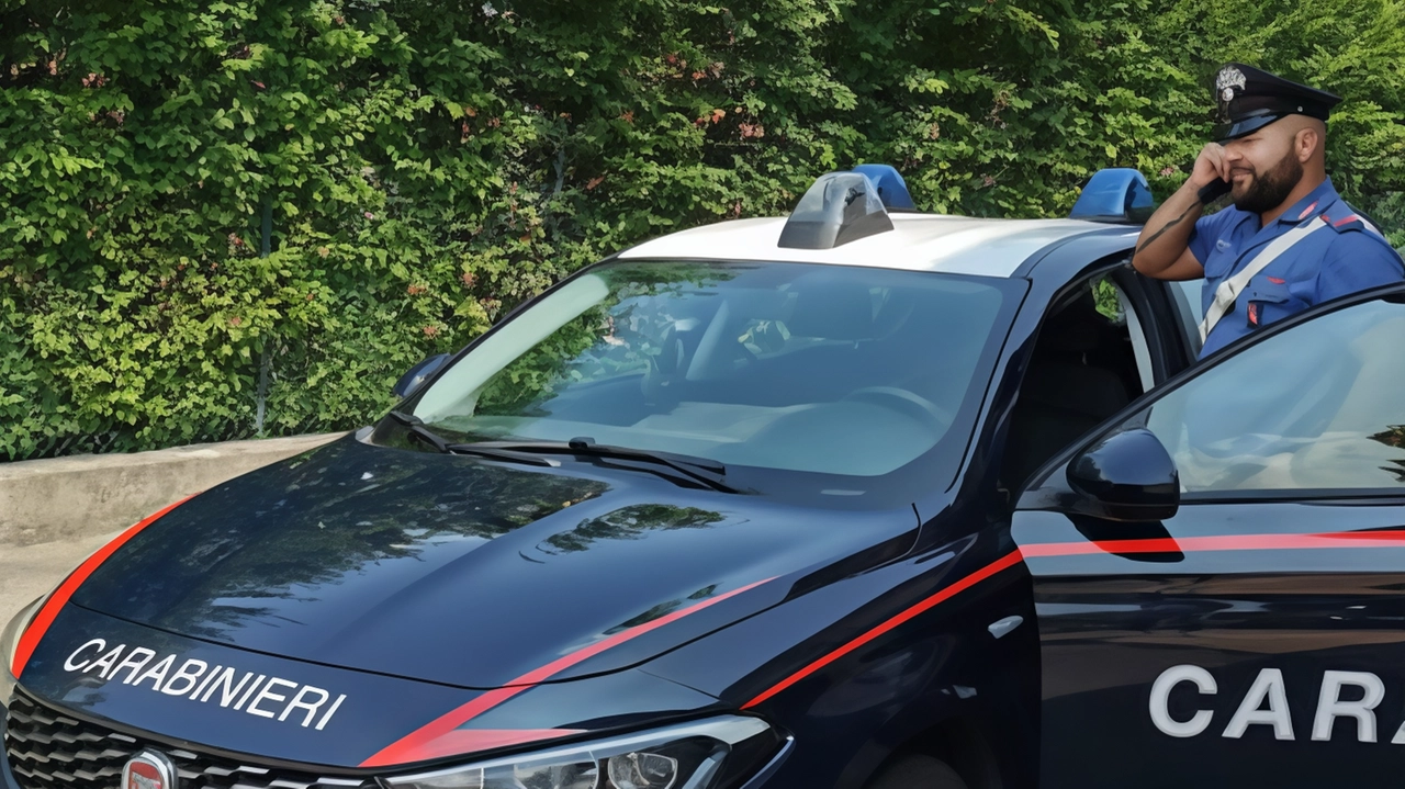 Una media di uno al giorno. Sono i provvedimenti di forze di polizia e autorità giudiziaria, emessi nell’ultima settimana, per... Una media di uno al giorno. Sono i provvedimenti di forze di polizia e autorità giudiziaria, emessi nell’ultima settimana, per...