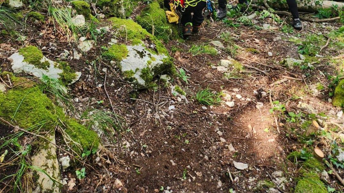 Cercatori di funghi. Uno ritrovato senza vita. Un altro portato in salvo Cercatori di funghi. Uno ritrovato senza vita. Un altro portato in salvo