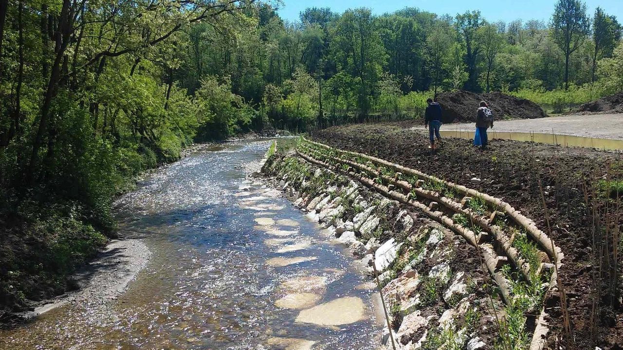 Tra le sorgenti degli odori potrebbe esserci il fiume Olona Tra le sorgenti degli odori potrebbe esserci il fiume Olona