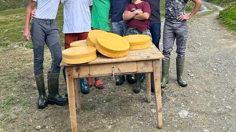 Il convegno "Prodotti valtellinesi di qualità a km zero" a Chiuro discute l'interazione tra agricoltura, commercio e turismo per promuovere la sostenibilità con focus sul progetto "Segale 100% Valtellina". Il convegno "Prodotti valtellinesi di qualità a km zero" a Chiuro discute l'interazione tra agricoltura, commercio e turismo per promuovere la sostenibilità con focus sul progetto "Segale 100% Valtellina".