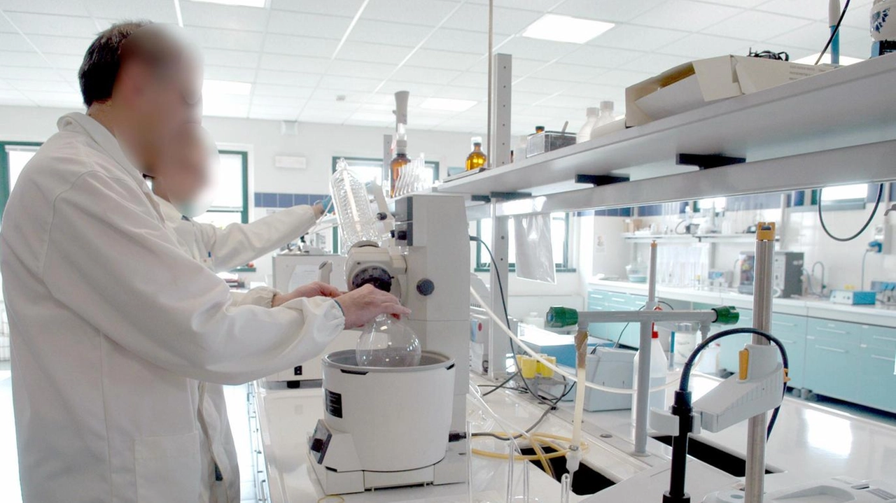 Si procede con i campionamenti per individuare l’origine del batterio . Poi, via alle sanificazioni. "Nuovi protocolli coi gestori delle reti idriche". Si procede con i campionamenti per individuare l’origine del batterio . Poi, via alle sanificazioni. "Nuovi protocolli coi gestori delle reti idriche".