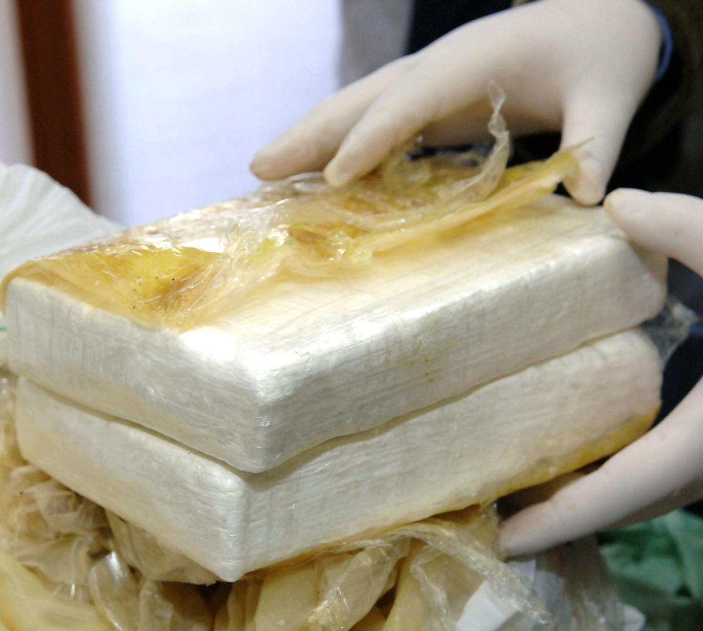 in casa nascosti 126 kg di cocaina purissima maxi sequestro da 14 milioni di euro nel bresciano