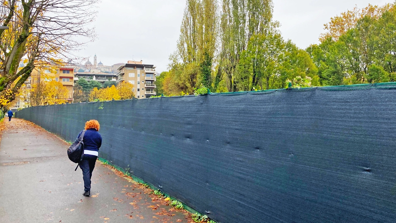 Bergamo, si allarga la protesta per salvare il bosco in XXIV Maggio: no all’abbattimento degli alberi Bergamo, si allarga la protesta per salvare il bosco in XXIV Maggio: no all’abbattimento degli alberi