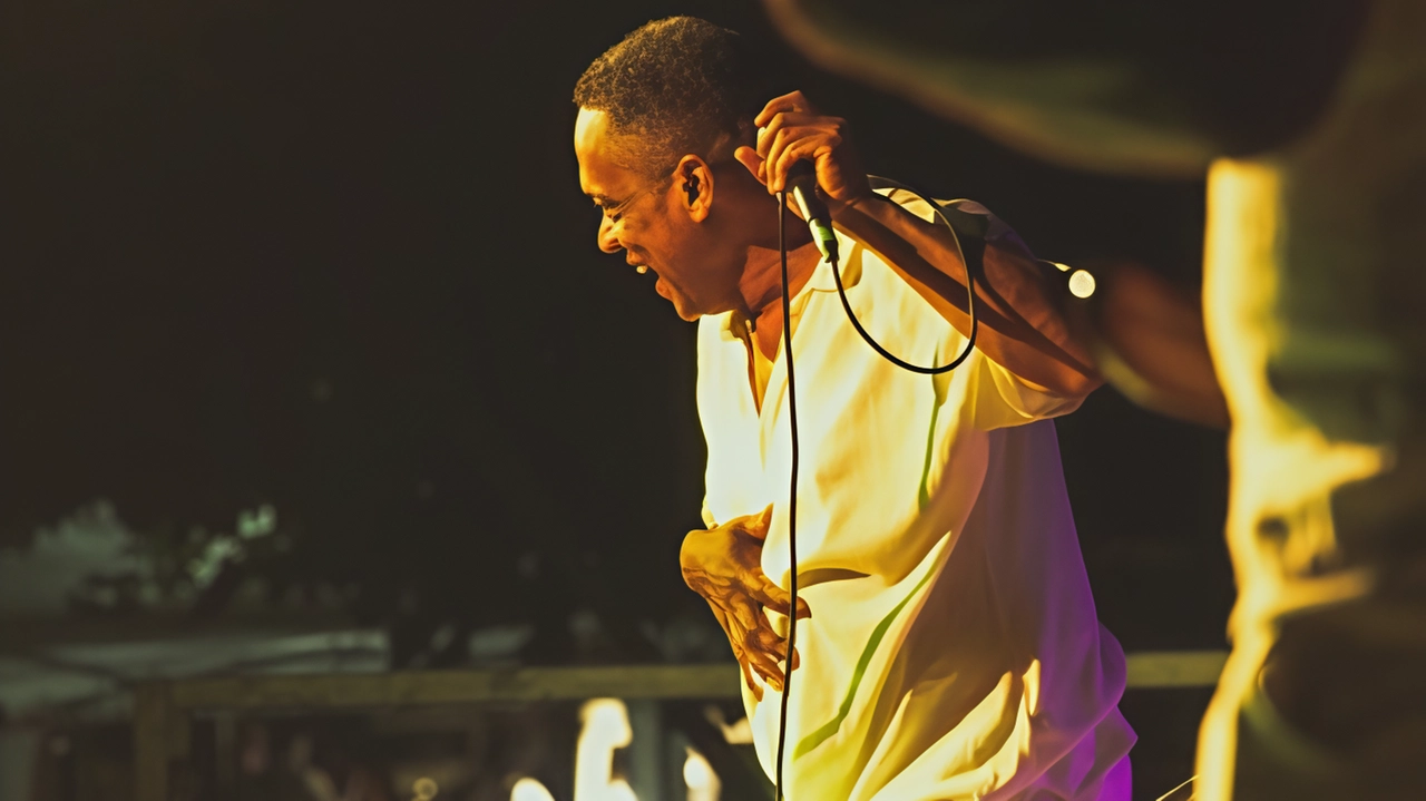 Musica, arte, cultura, cinema per raccontare e valorizzare la complessità delle realtà afrodiscendenti e afroeuropee, evidenziandone il contributo al... Musica, arte, cultura, cinema per raccontare e valorizzare la complessità delle realtà afrodiscendenti e afroeuropee, evidenziandone il contributo al...