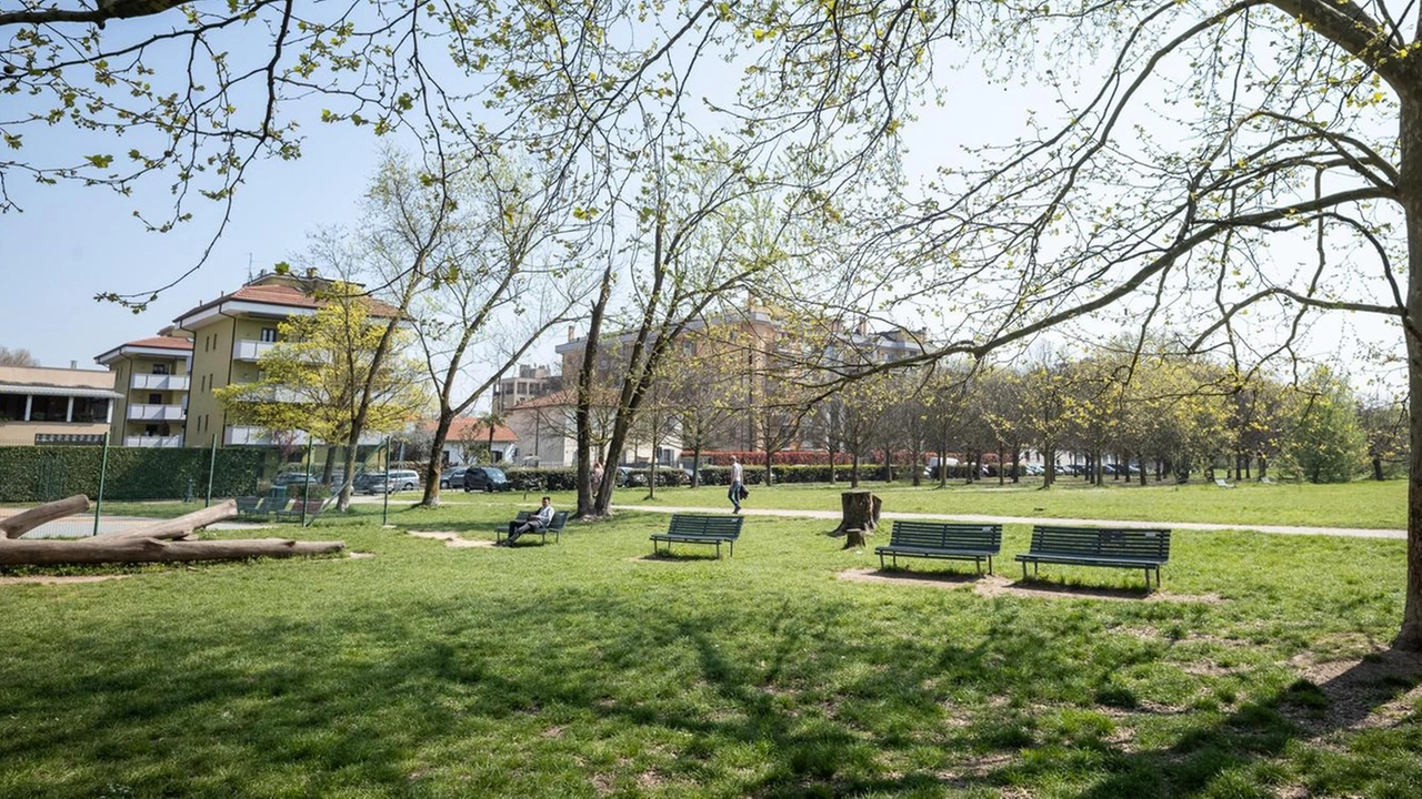 Un piccolo angolo di natura nel quartiere Niguarda alle spalle della storica Villa Clerici a due passi dalla superstrada...
