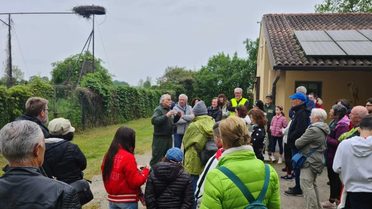 Somaglia, il direttore scientifico della riserva Monticchie fa parlare i numeri. Tutelati 125 ettari a fronte di 82mila. "Per questo siamo ultimi in Italia". Somaglia, il direttore scientifico della riserva Monticchie fa parlare i numeri. Tutelati 125 ettari a fronte di 82mila. "Per questo siamo ultimi in Italia".