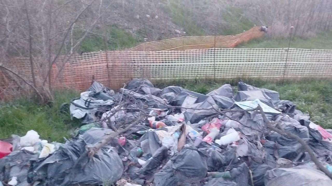 Una delle discariche abusive segnalate dal Comitato Cittadini Calcinato