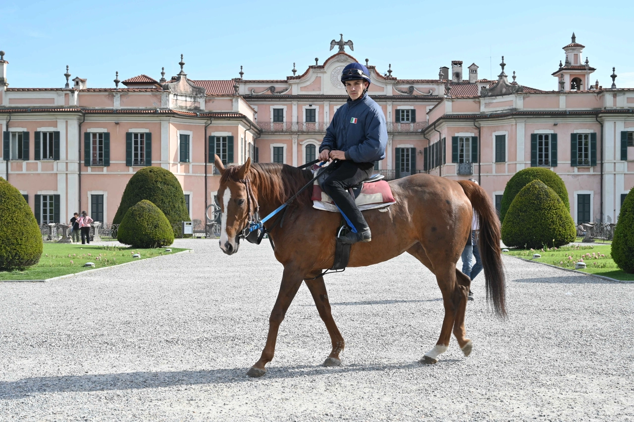 I Giardini Estensi si sono trasformati per qualche ora in un insolito centro equestre