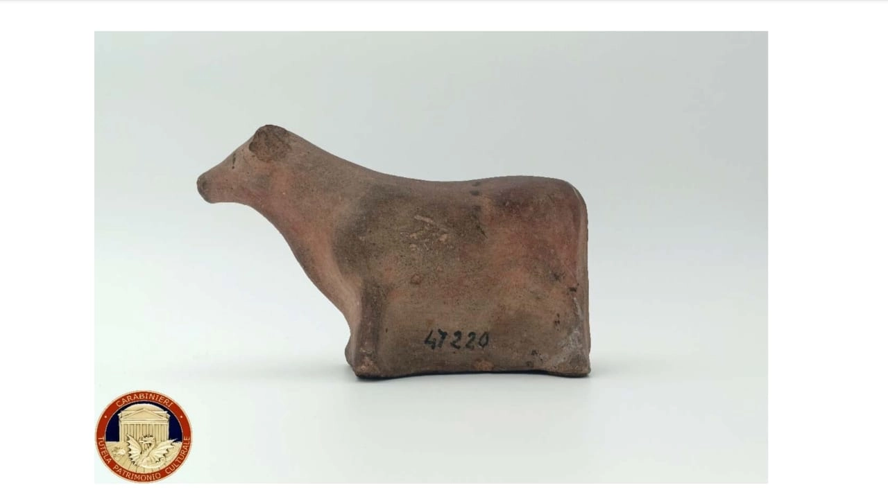 il torello di Veio trafugato e restituito dai carabinieri Ntpc al Museo Nazionale Romano il torello di Veio trafugato e restituito dai carabinieri Ntpc al Museo Nazionale Romano