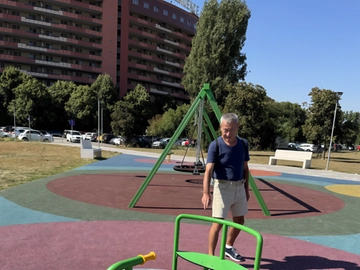 immagine articolo