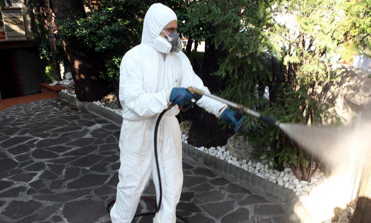 San Donato, caso di Chikungunya. Scatta il piano di disinfestazione: "Ridurre il rischio di diffusione" San Donato, caso di Chikungunya. Scatta il piano di disinfestazione: "Ridurre il rischio di diffusione"