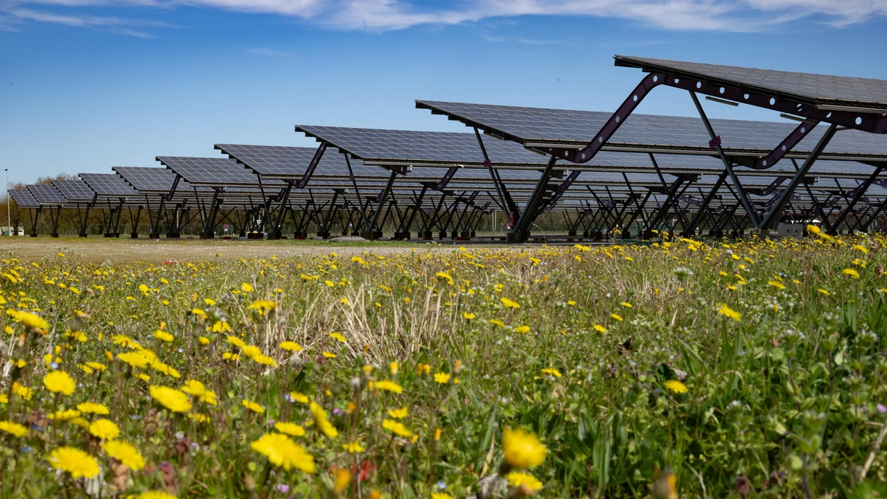Politiche green, le strategie per i finanziamenti