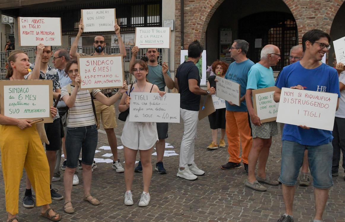 Appello green di 2mila cittadini: "Tiglio non ti taglio" Appello green di 2mila cittadini: "Tiglio non ti taglio"