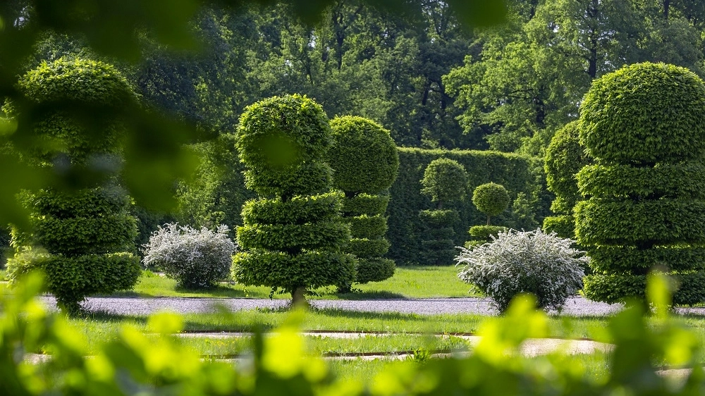 VILLA ARCONATI - Parterre delle ballerine.