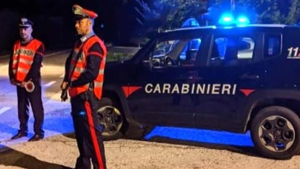Controlli dei carabinieri sul territorio della provincia di Varese Controlli dei carabinieri sul territorio della provincia di Varese