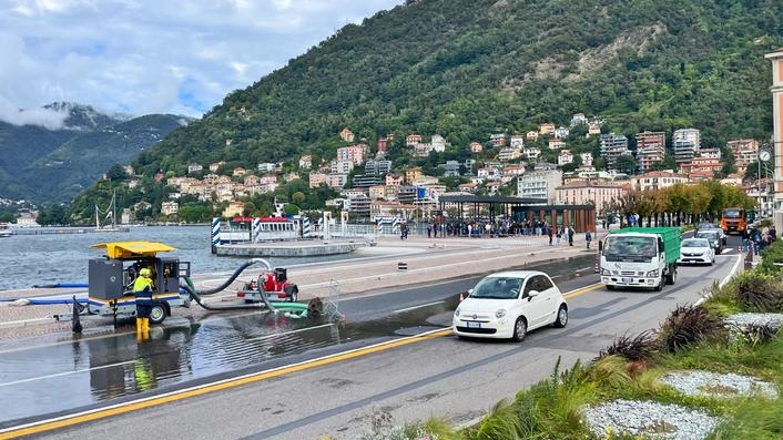 A Varese piante schiantate sulla linea elettrica A Varese piante schiantate sulla linea elettrica