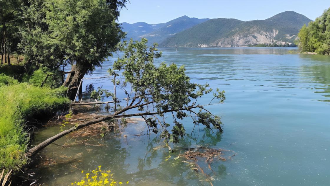 Via i detriti dalla foce dell’Oglio: "La navigazione è pericolosa"