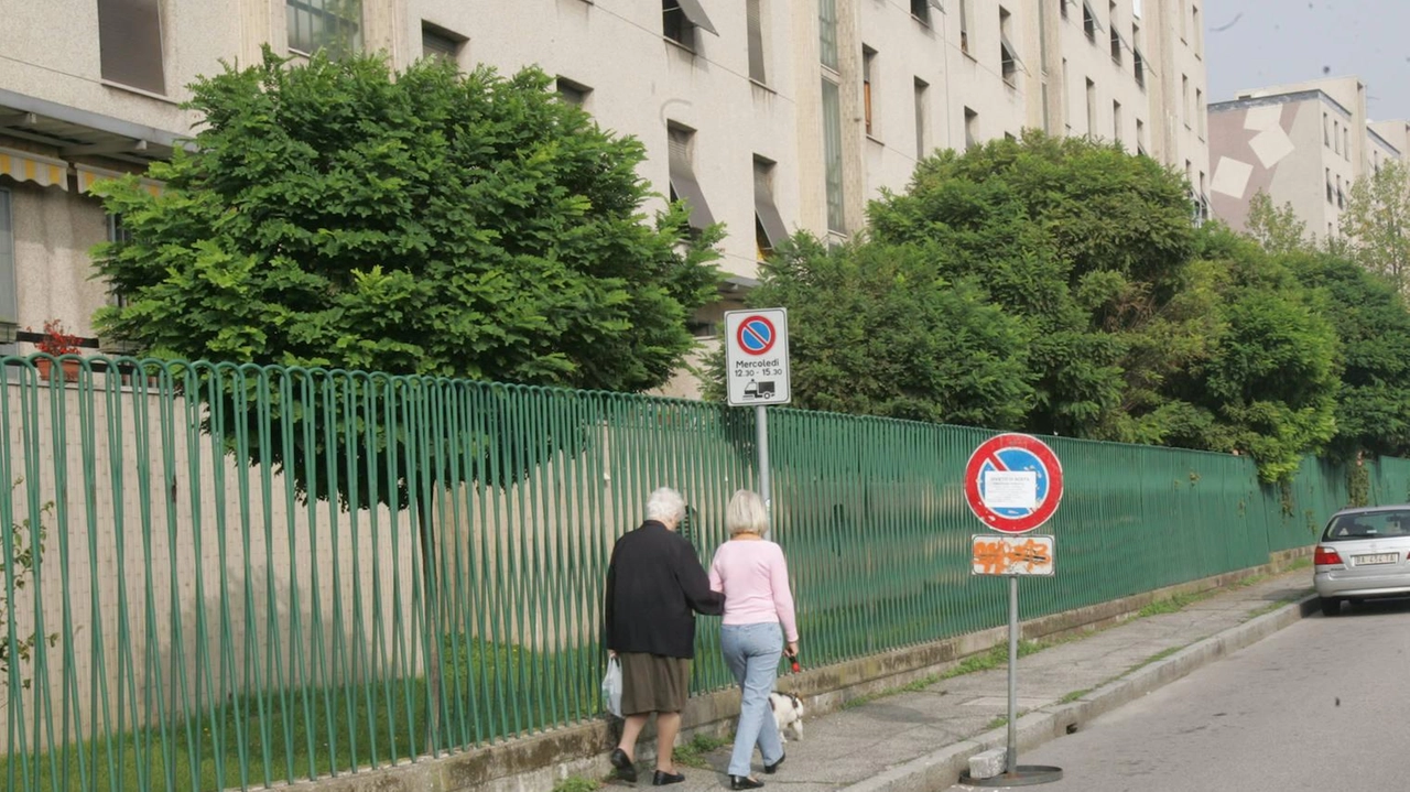 Il caso in Consiglio comunale, impossibile trovare parcheggi alternativi per consentire le pulizie. Viviana Guidetti ammette: "Siamo consapevoli della difficoltà, sperimenteremo dalle 8 alle 11". Il caso in Consiglio comunale, impossibile trovare parcheggi alternativi per consentire le pulizie. Viviana Guidetti ammette: "Siamo consapevoli della difficoltà, sperimenteremo dalle 8 alle 11".