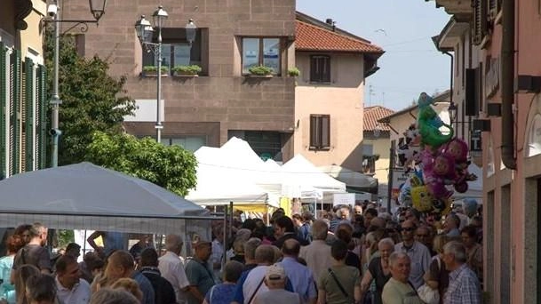 Tutto pronto per l’avvio della kermesse organizzata dalla Pro loco che rispolvera le origini contadine di Vimercate Tutto pronto per l’avvio della kermesse organizzata dalla Pro loco che rispolvera le origini contadine di Vimercate