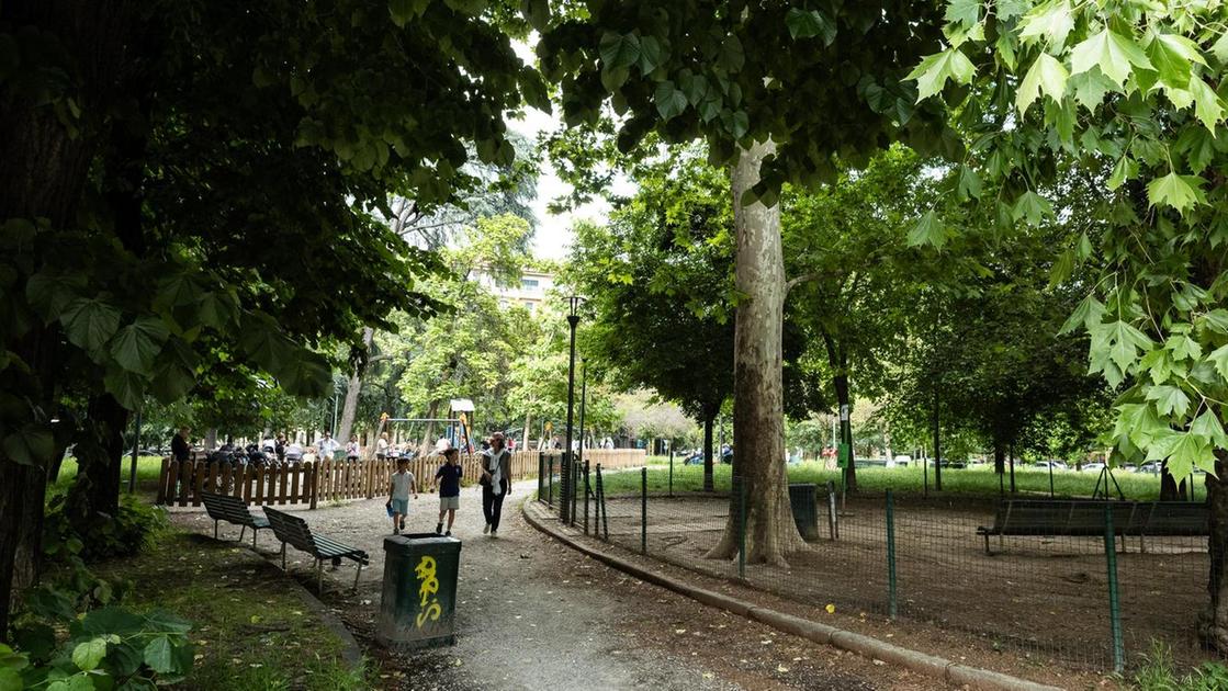 Piazza Damiano Chiesa: "Zona tranquilla e vitale. Il verde va curato di più" Piazza Damiano Chiesa: "Zona tranquilla e vitale. Il verde va curato di più"