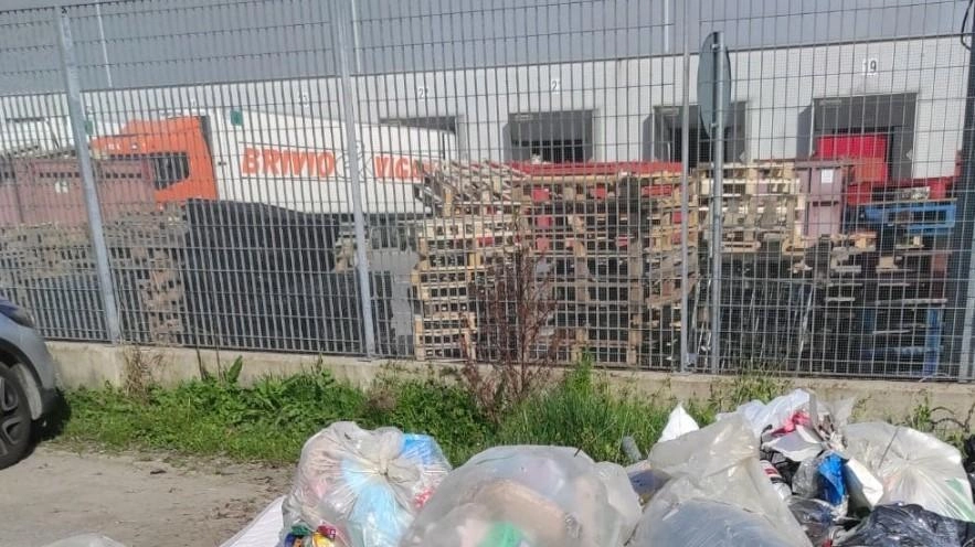 Il Comune aveva promesso "impegno senza sosta" per ripulire Trezzo dalle discariche abusive, ha ingaggiato i Rangers d’Italia per...