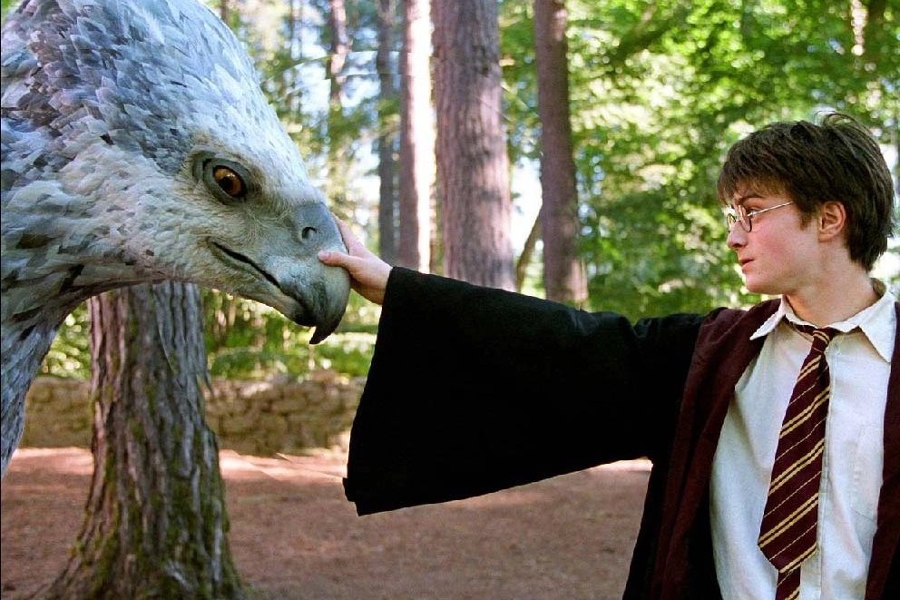 Unimmagine del film 'Harry Potter e i doni della morte (Ansa)