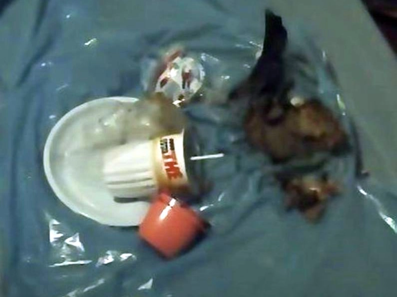 I due vasetti di yogurt e i resti della banana trovati nella casa di Chiara Poggi a Garlasco