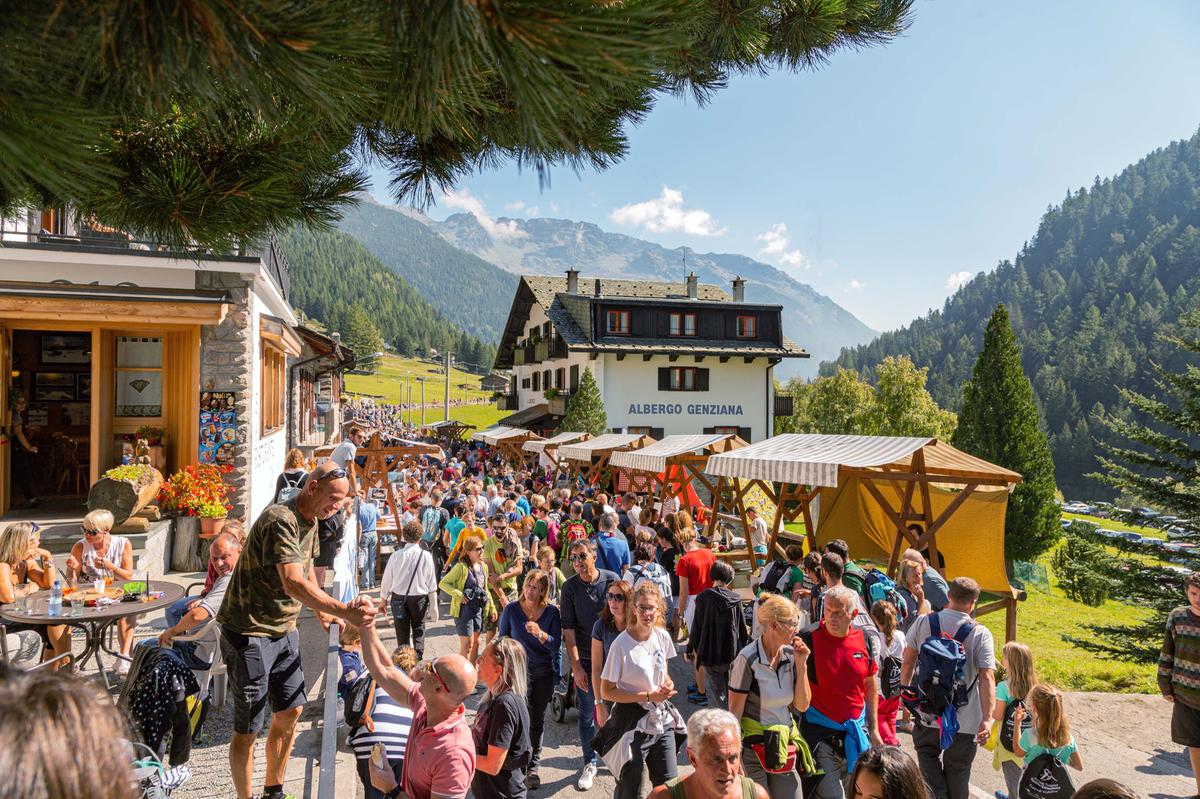 Cosa fare in Lombardia nel weekend dal 19 al 21 settembre 2025: sagre, vendemmia, transumanza